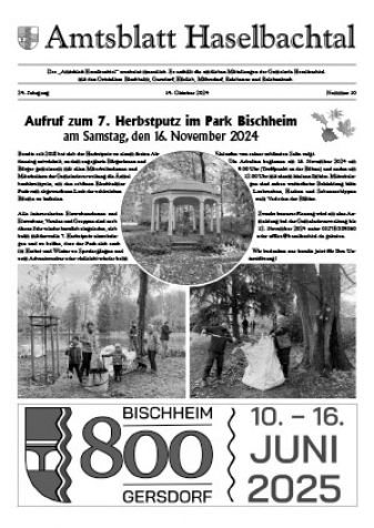 Amtsblatt Haselbachtal 10/2024