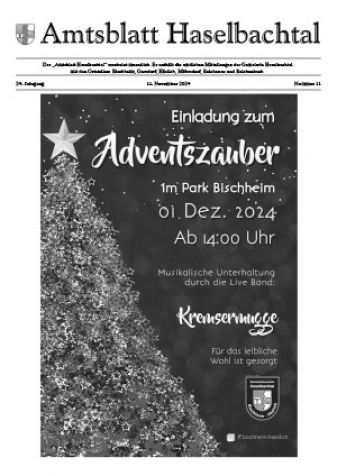 Amtsblatt Haselbachtal 11/2024